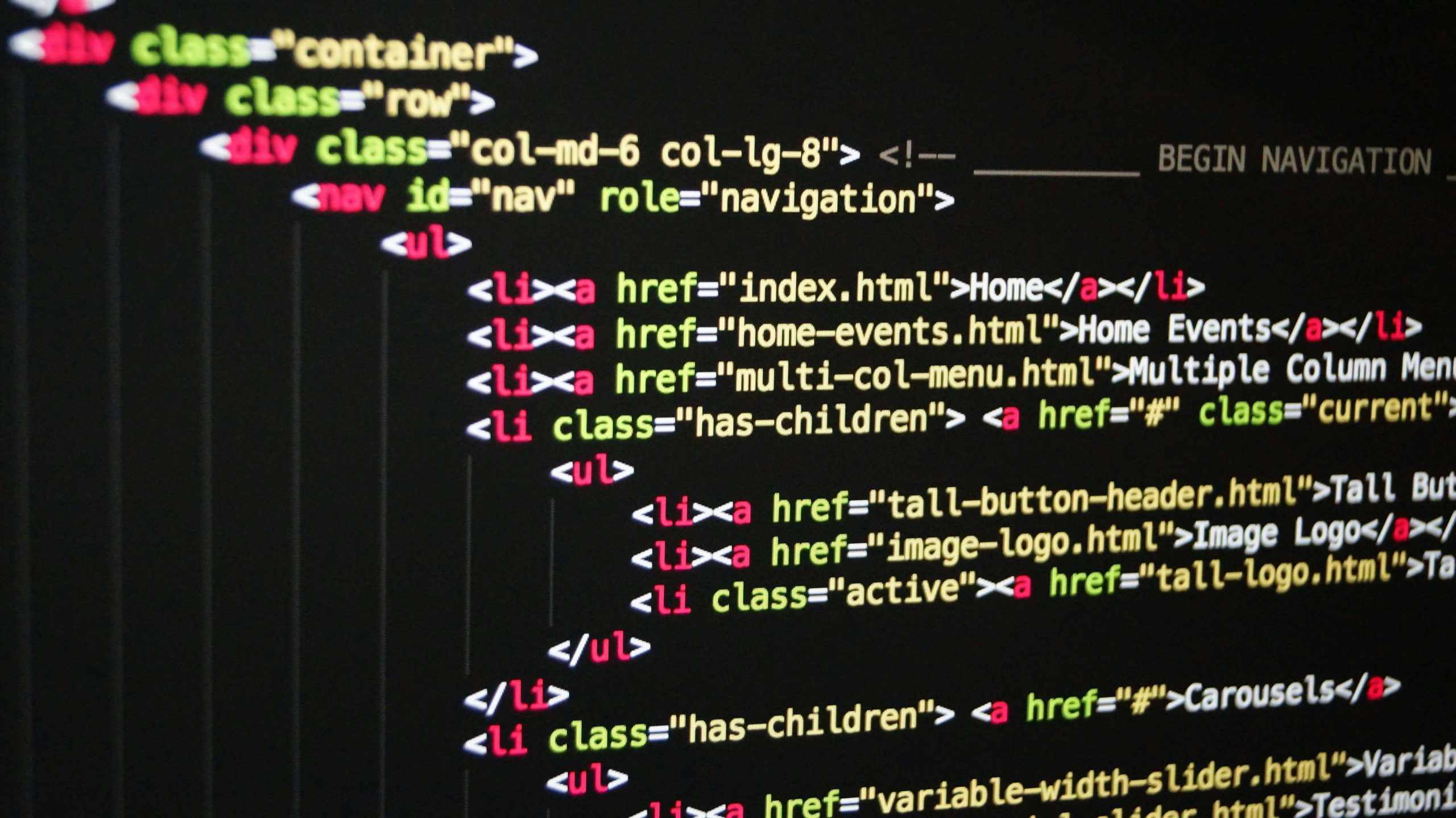 Web Portal Development